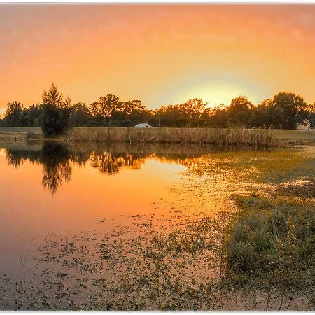Madigan Wine Country Cottages Lovedale Buitenkant foto