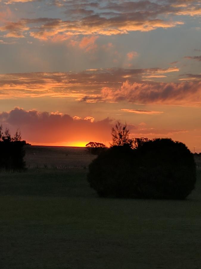Madigan Wine Country Cottages Lovedale Buitenkant foto