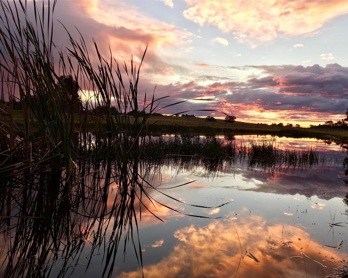 Madigan Wine Country Cottages Lovedale Buitenkant foto