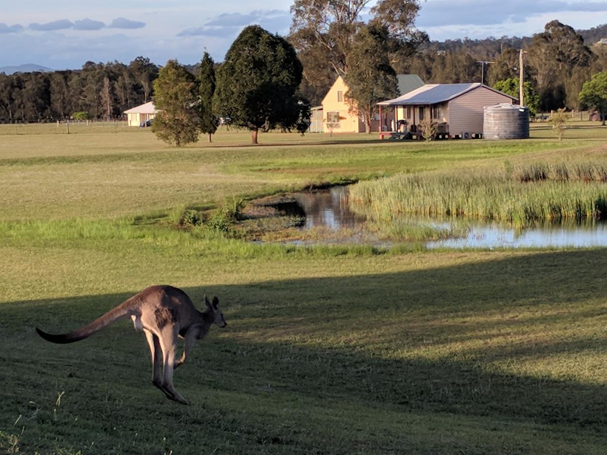 Madigan Wine Country Cottages Lovedale Buitenkant foto