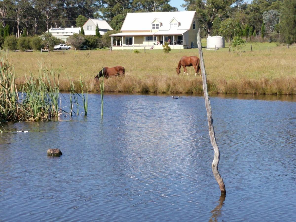 Madigan Wine Country Cottages Lovedale Buitenkant foto